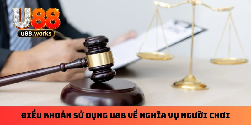 dieu-khoan-su-dung-u88-ve-nghia-vu-nguoi-choi